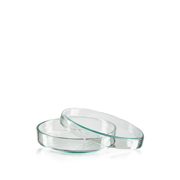 Lot De 10 Boîtes De Pétri En Verre Borosilicate 90x20 Mm - Avec Couvercle, Autoclavables - Pour Laboratoire, Culture Cellulaire